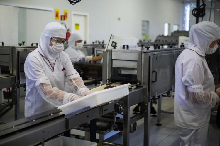 Indústria fecha 2022 com saldo positivo de empregos