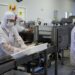 Indústria fecha 2022 com saldo positivo de empregos