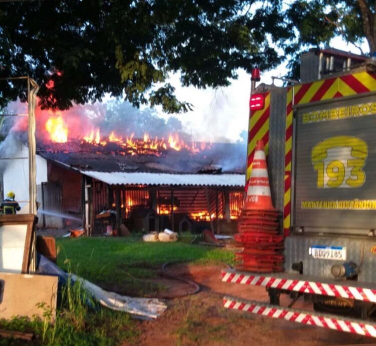 Vários animais morrem durante incêndio que destruiu residência em Paranavaí