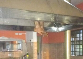 Homem tenta imitar Papai Noel, entra pela chaminé e vai preso em Nova Londrina