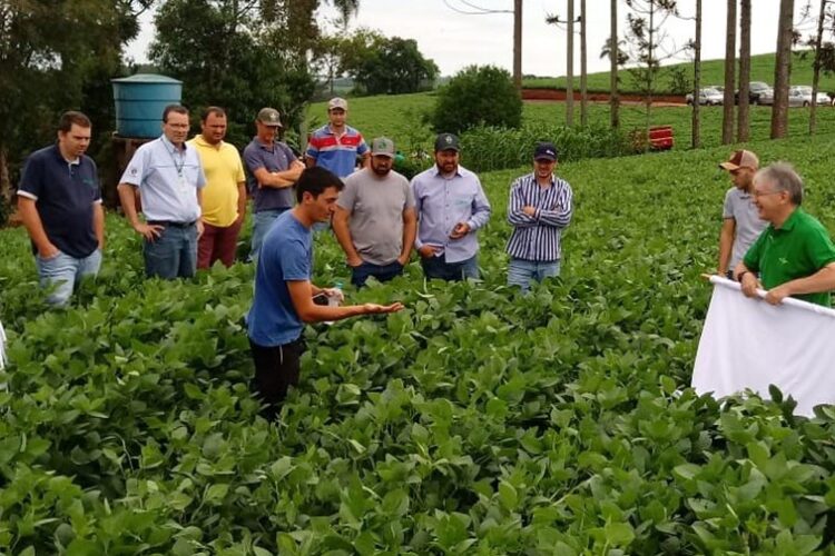 Ação mapeia produtividade na  colheita de soja na região de Maringá