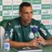 Décimo segundo jogador de Abel, Breno Lopes ganha status de inegociável