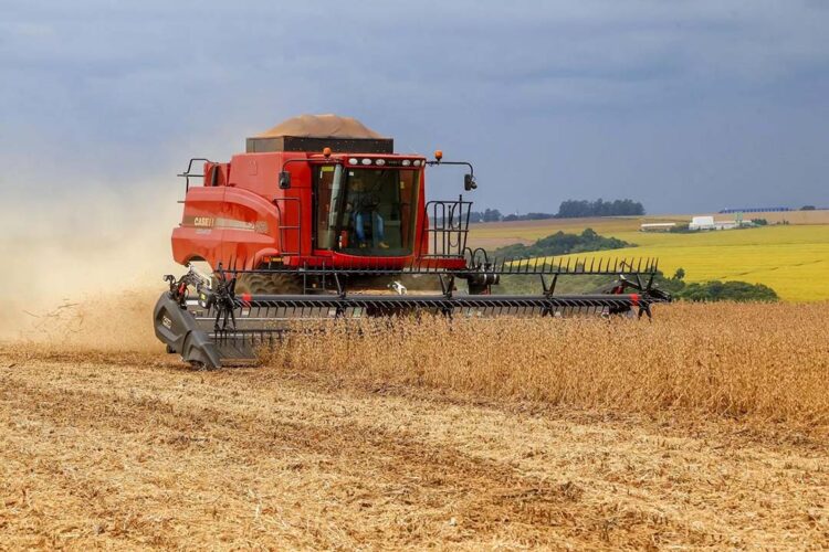 Conab estima safra de grãos em 310,6 milhões de toneladas