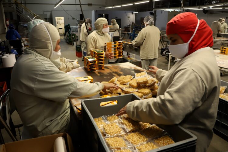 Com crescimento de 14%, rede Sine  emprega 8.689 pessoas em janeiro de 2023