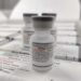 97,2 mil doses: Paraná recebe terceira remessa de vacinas bivalentes contra a Covid-19