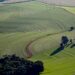 Governo do Estado disponibiliza R$ 12,7 milhões para o seguro rural em 2023