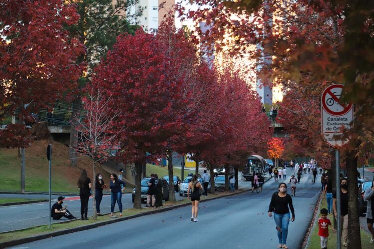 Após chuvas de verão, Simepar prevê outono típico no Paraná, com variações de temperatura