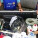 Rotary Brasil já investiu R$ 380 milhões em  projetos de saúde, educação e inclusão no Brasil