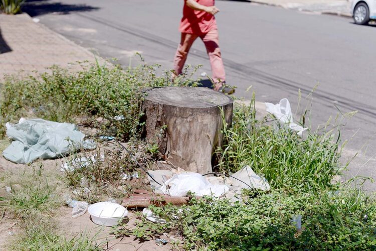 Noroeste tem 17 municípios com alto índice de  infestação do mosquito transmissor da dengue