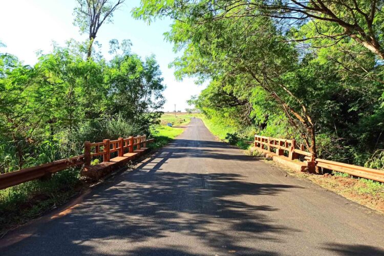 DER/PR publica resultados das licitações para  reformar pontes no Noroeste e Centro-Oeste
