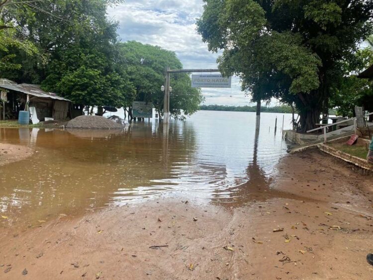 Moradores deixam casas após cheia do Rio Paraná em Querência do Norte