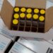 Vacinação contra a Mpox deve começar na próxima semana no Paraná