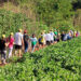 Turismo no campo: 56 mil pessoas participaram das Caminhadas na Natureza em 2022