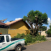 Município atualiza valores de multas por infrações ao Código de Arborização