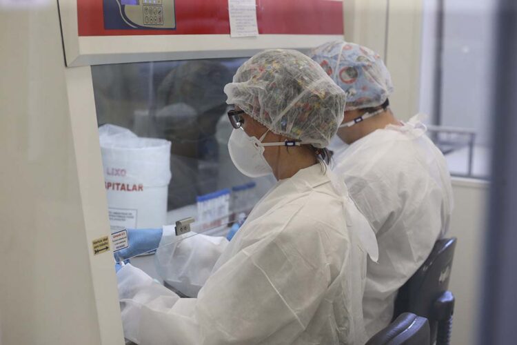 Municípios do Paraná devem aderir a  novo ciclo do Programa Mais Médicos
