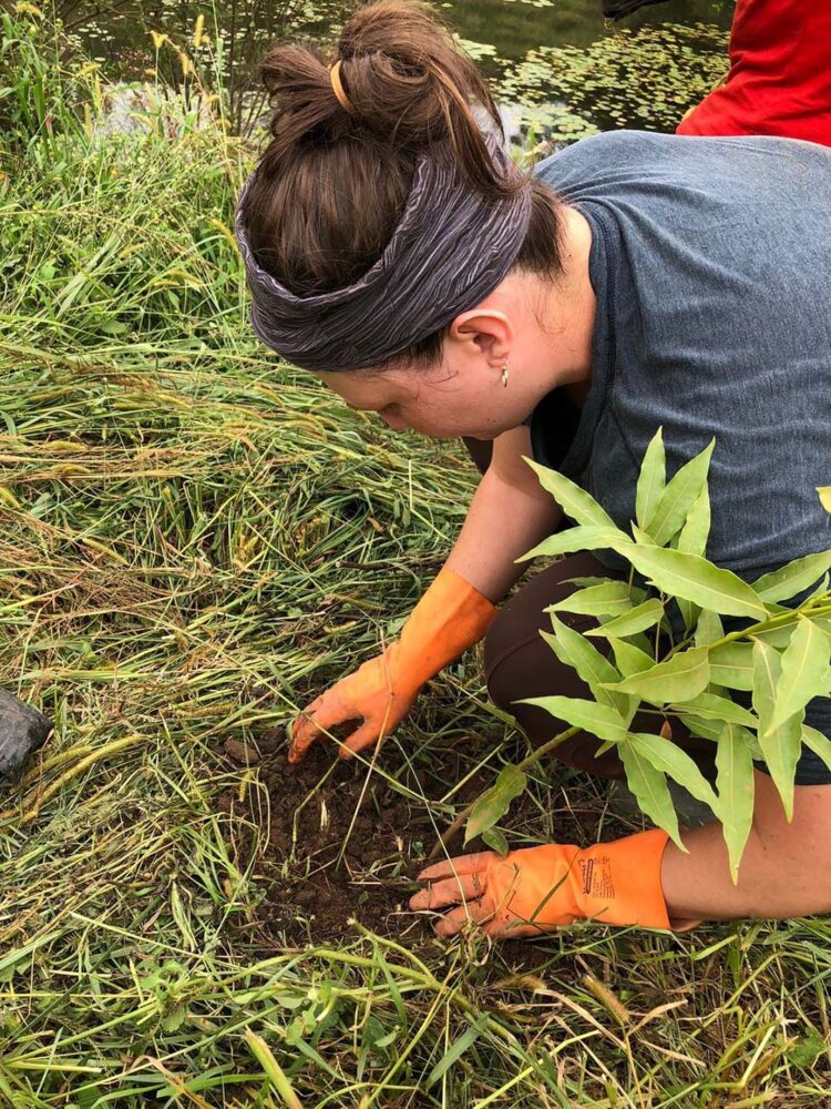 Solo conservado é essencial para garantir  água, alimentos e resiliência climática