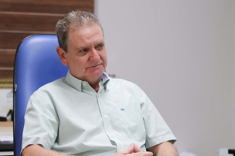 Preço da mandioca caminha para a estabilização, avalia SIMP