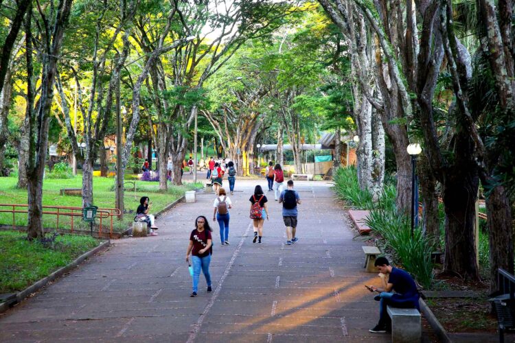 Ensino superior do Paraná está entre  os mais bem avaliados do Brasil