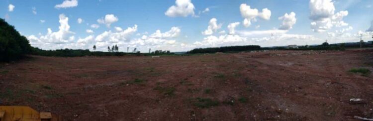 Proibição de descarte de grandes geradores diminuiu drasticamente o volume de lixo