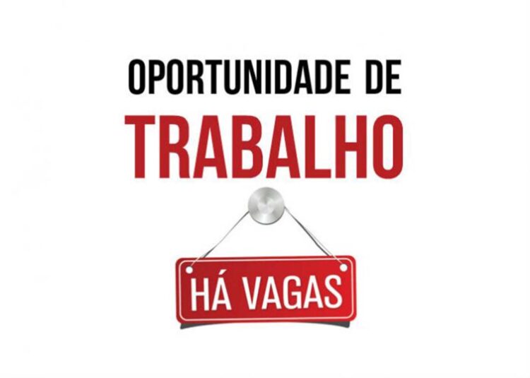 Há 146 vagas de emprego disponíveis para Paranavaí