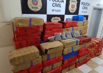 Polícia Civil de Paranavaí apreende duas toneladas de maconha em Amaporã