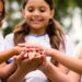 Cultura de paz pode ser alternativa para escolas mais seguras