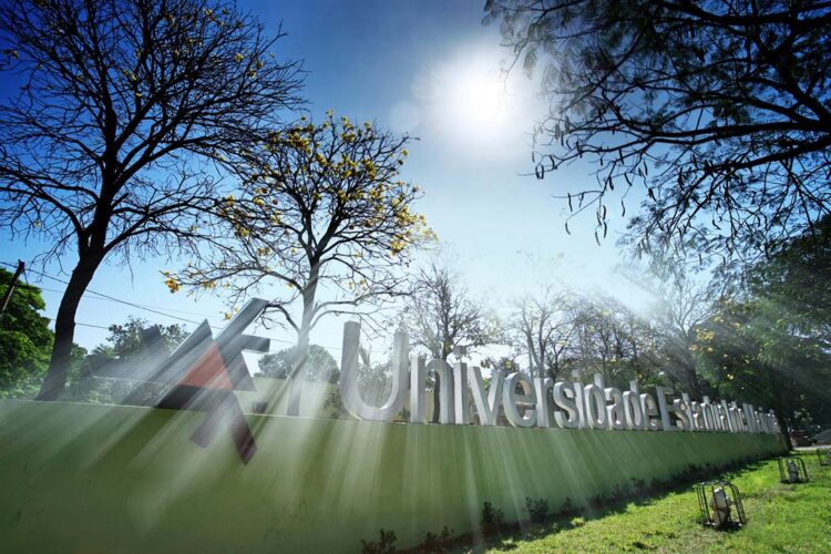 Ranking aponta UEM entre as 20 melhores  universidades brasileiras na área da agricultura