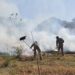 Incêndios podem causar perdas irreparáveis ao solo