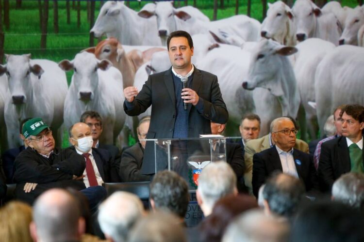 Paraná completa dois anos do status de área livre de febre aftosa sem vacinação