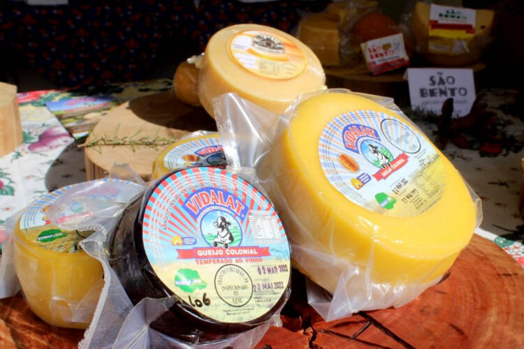 Prêmio Queijos do Paraná vai escolher o melhor produto do Estado