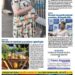 Edição 11/05/2023