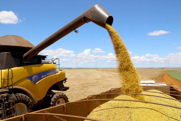Agricultura prevê aumento de 38% na safra de grãos, estimada em 46,85 milhões de toneladas