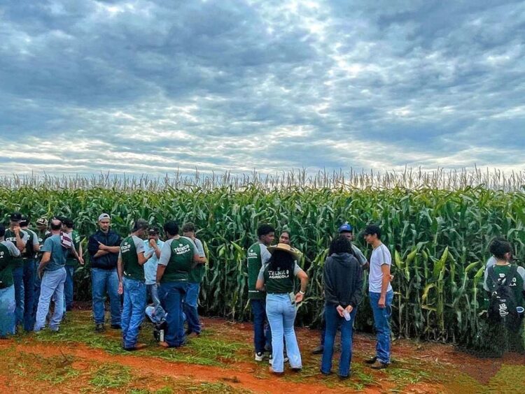 Dia de Campo reuniu produtores de toda a região