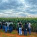 Dia de Campo reuniu produtores de toda a região