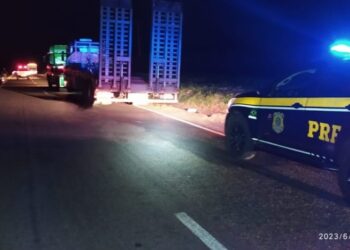 Caminhoneiro morre após ser atropelado na BR-376