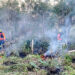 Com apoio do Simepar, Corpo de Bombeiros lança operação contra incêndios florestais