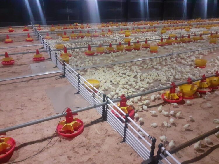 Setor produtivo do Paraná reforça medidas de controle a Influenza Aviária