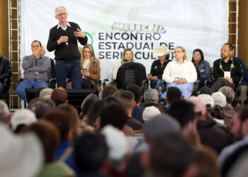 Governo do Paraná prepara concurso para estimular a produção de seda