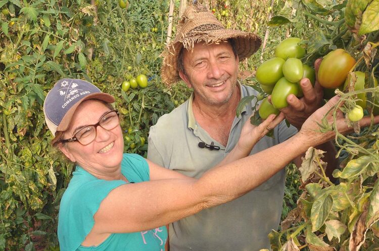 Casal enfrenta mudanças e desafios e hoje se orgulha por produzir alimentos