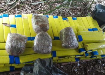 Mais de 100 kg de drogas são apreendidas pela Polícia Militar em Nova Londrina