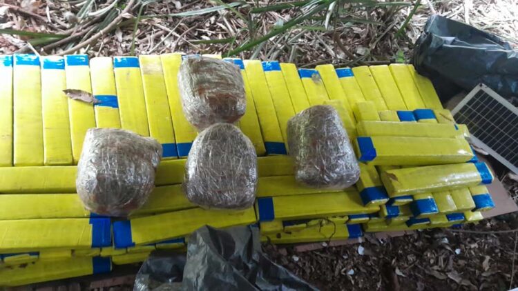 Mais de 100 kg de drogas são apreendidas pela Polícia Militar em Nova Londrina