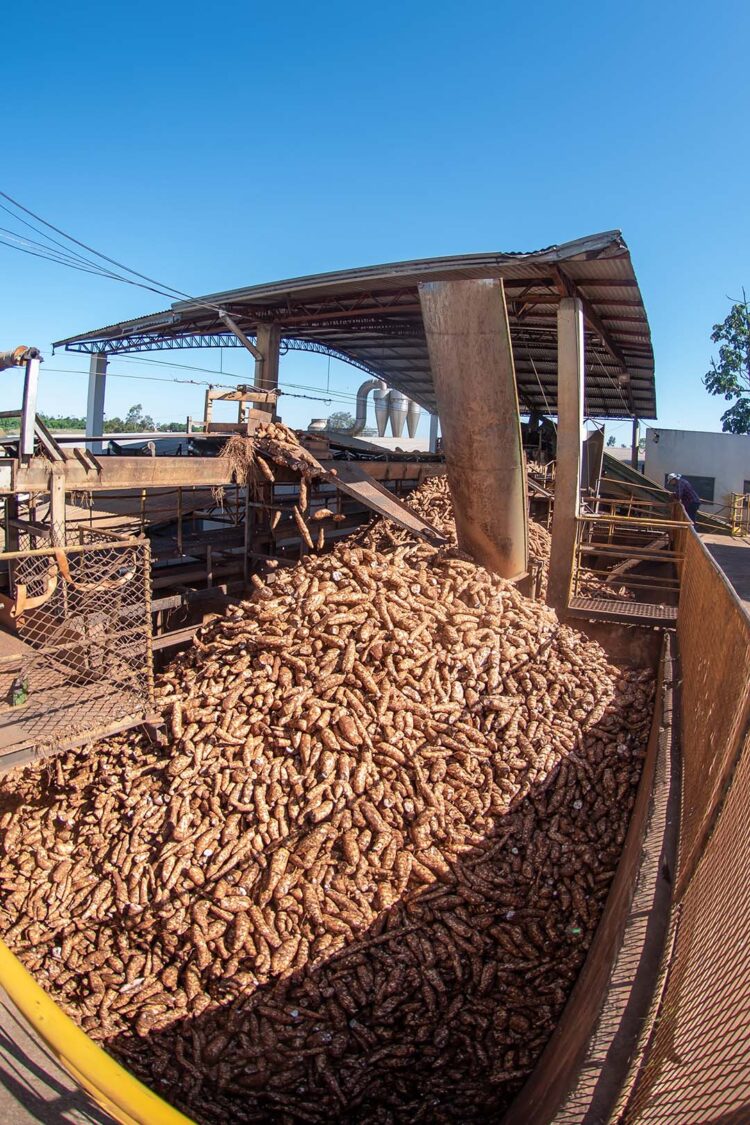 Aciap apresenta proposta para a realização da Fiman em novembro