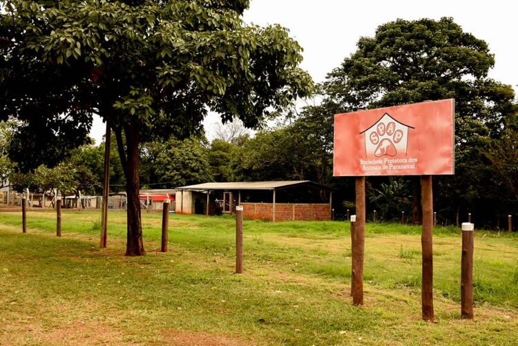 Spap recorre à comunidade: precisa de  recursos para ampliar número de canis