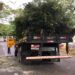 Paranavaí sofreu danos por conta do temporal