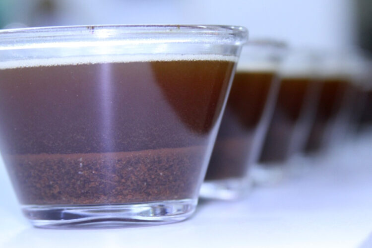 Café Qualidade Paraná 2023 está com as inscrições abertas