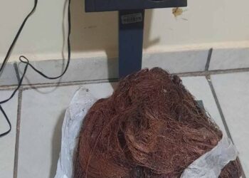 Polícia Militar recebe denúncia e prende homem por furtar fiação elétrica