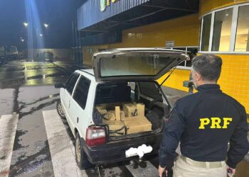 PRF apreende 217 kg de maconha em Nova Esperança