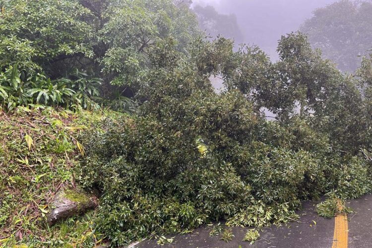 Estrada da Graciosa segue fechada devido a riscos de novos deslizamentos