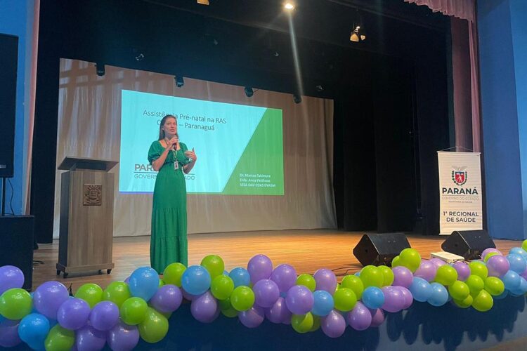 Estado capacita equipes para assistência no pré-natal