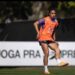 Rafaelle vê Brasil pronto para vencer França pela 1ª vez